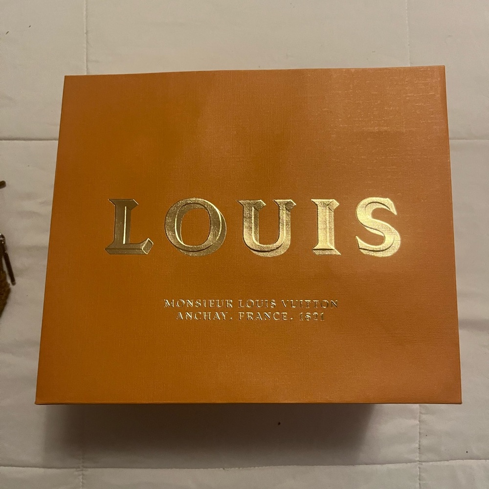 LV bag